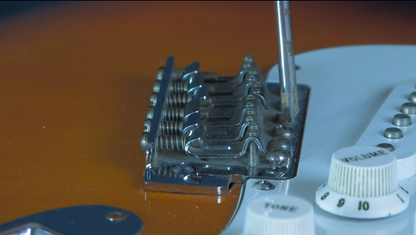 Electric Guitar Maintenance & Setup Digital Course